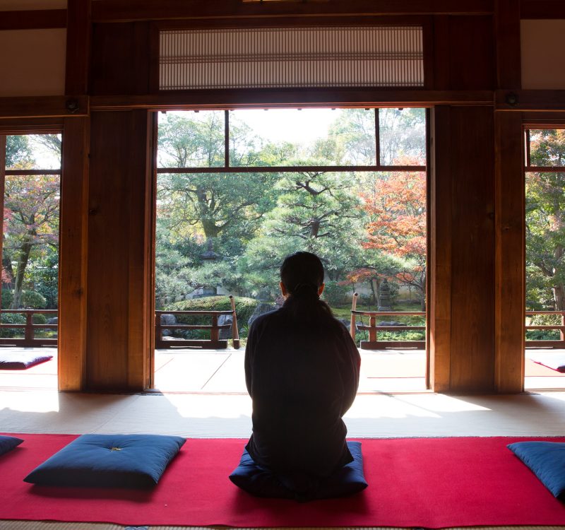 Rear view of man sitting on blue cushion on floor in traditional Japanese building. Rear view of man sitting on blue cushion on floor in traditional Japanese building.